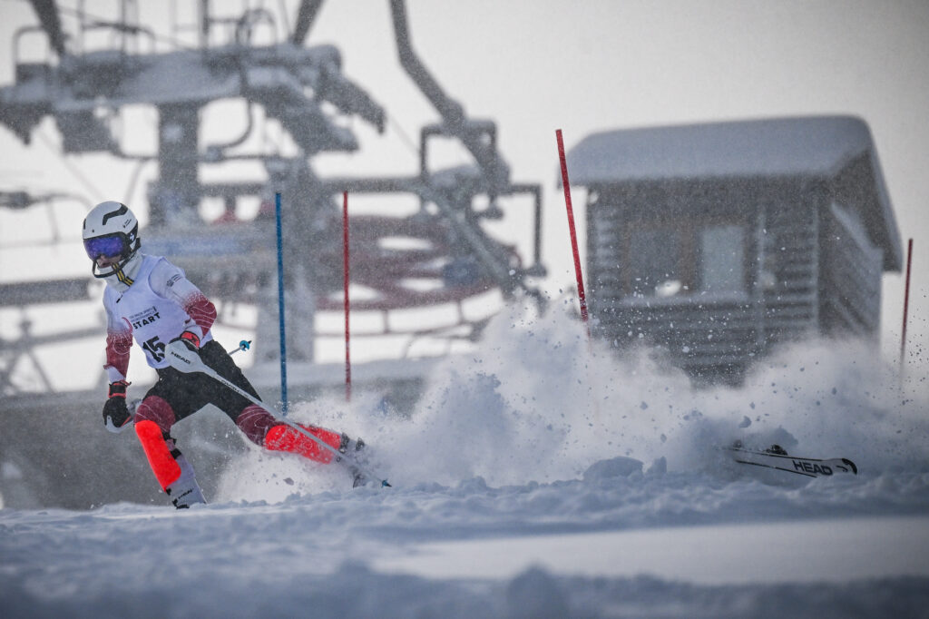 20260108 Paranarciarstwo 231