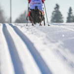 20260109 Paranarciarstwo 296